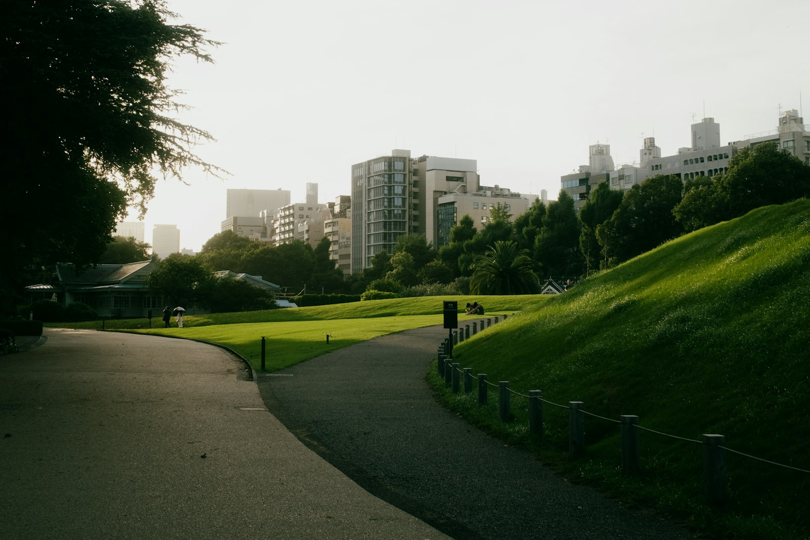 公園の小道が、この先の街並みへ向かってまっすぐ続いている風景