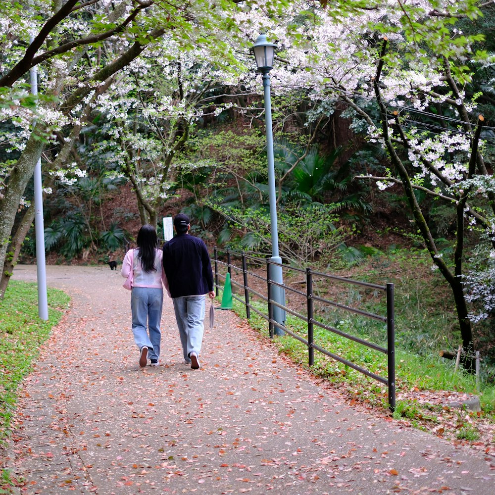 桜並木の下を、二人で並んで歩いていく後ろ姿